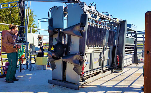 866064_724020468c1f4bb09423cb54c5534b91~mv2