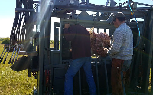 866064_b960dd500863473c96561bfbe3472324~mv2